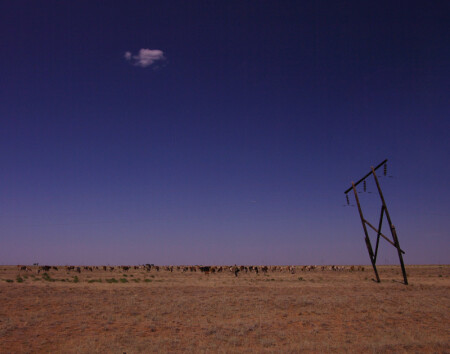 Покорение степи