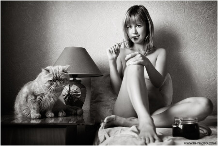 Про кота, паузу и неверную композицию