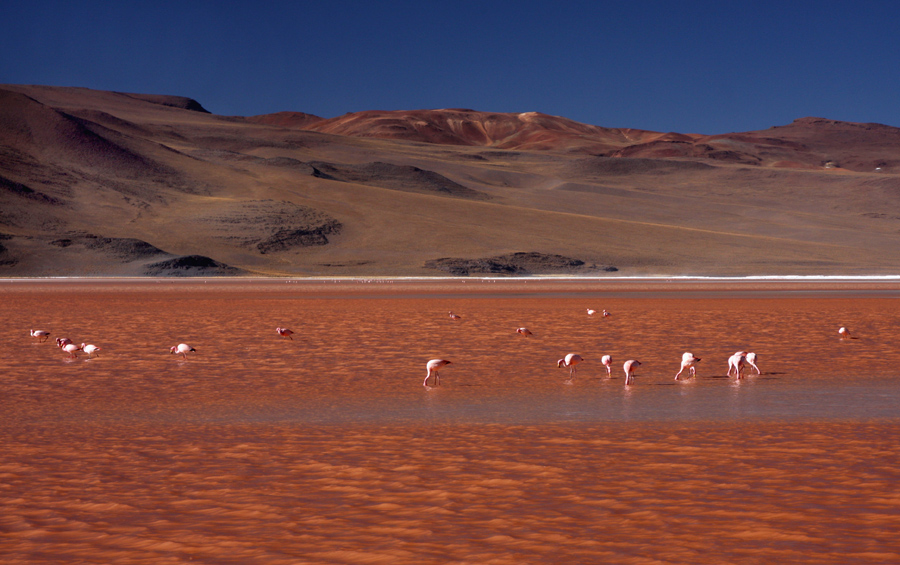 Laguna Roja