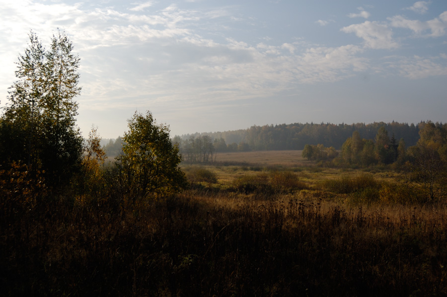 Прошлогодняя осень