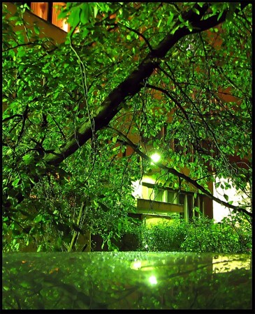 Черно - зеленая .