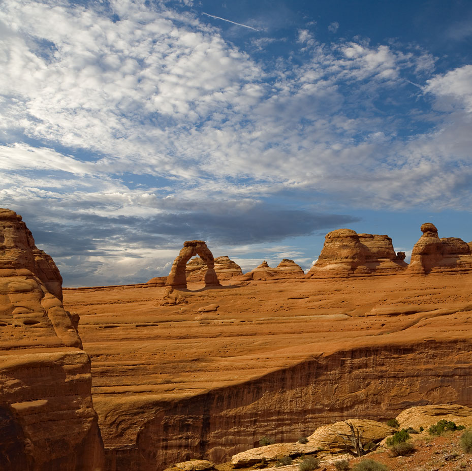 Delicate arch