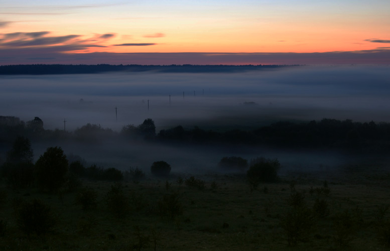 night fog