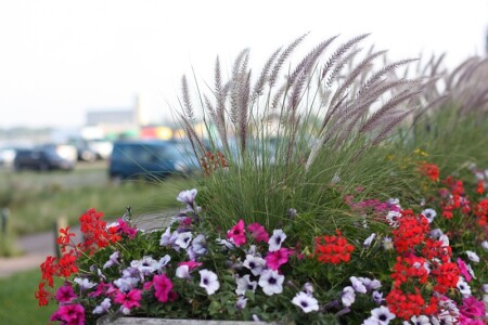 просто красивая композиция