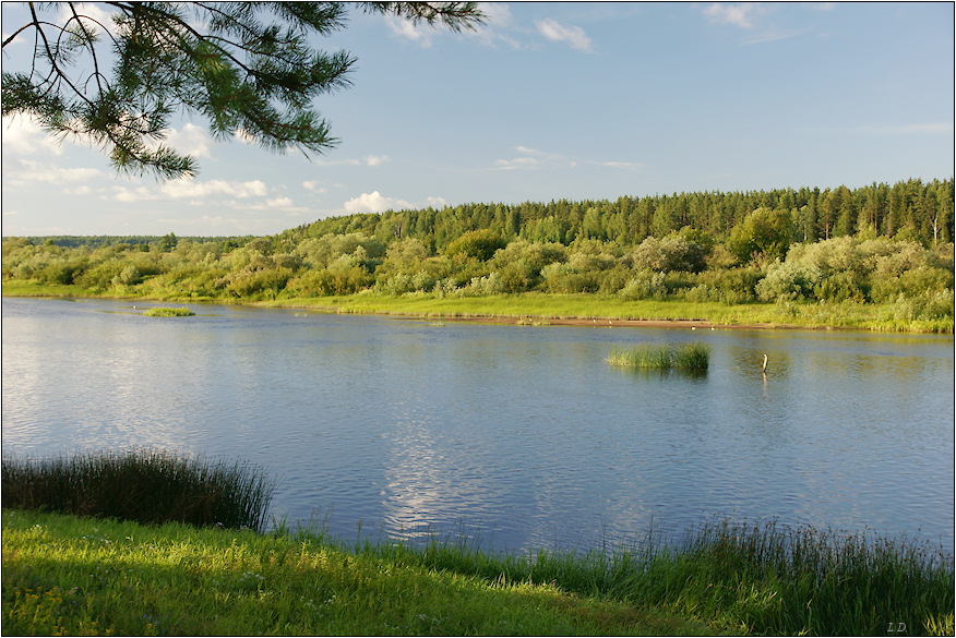 На реке Мологе