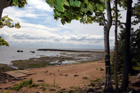 берег из детства