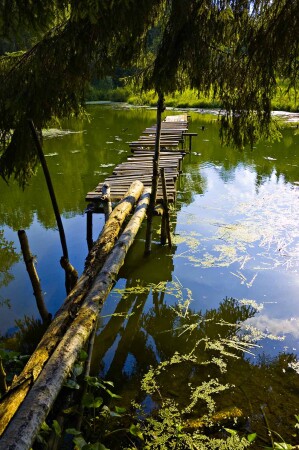 Тут &quot;леший&quot; где-то бродит