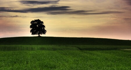 Еще один день в забытьё...