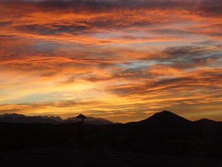 Краски жизни