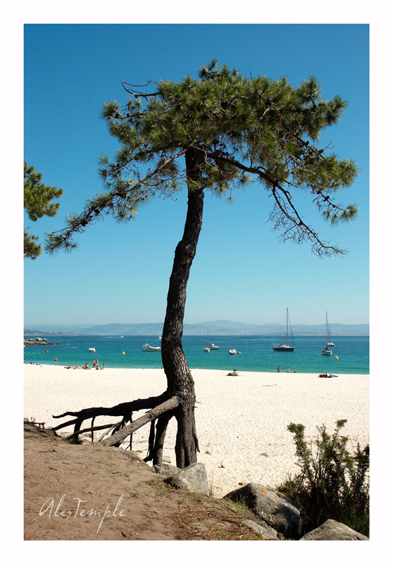 playa de Islas Cies