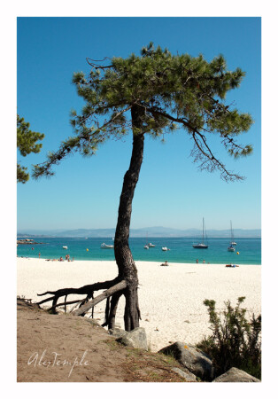 playa de Islas Cies