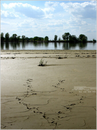 На перепутье