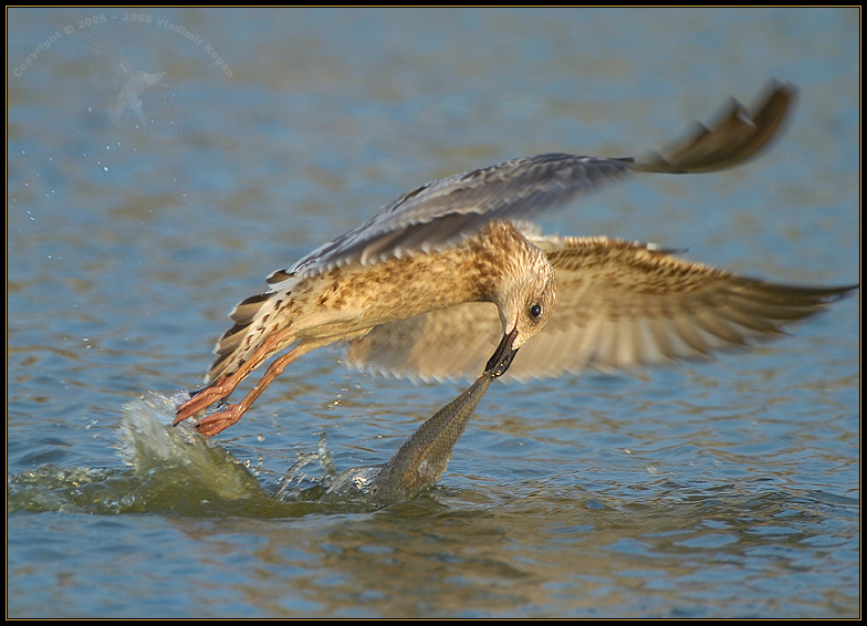 Fishing