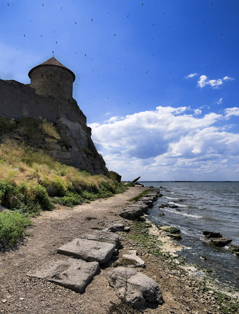 Castle&amp;swallows