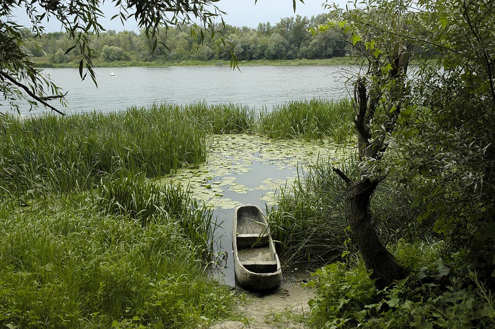 Донской край