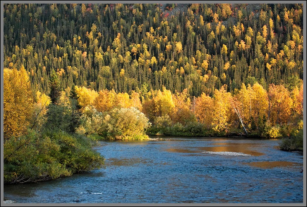 Осенняя палитра.