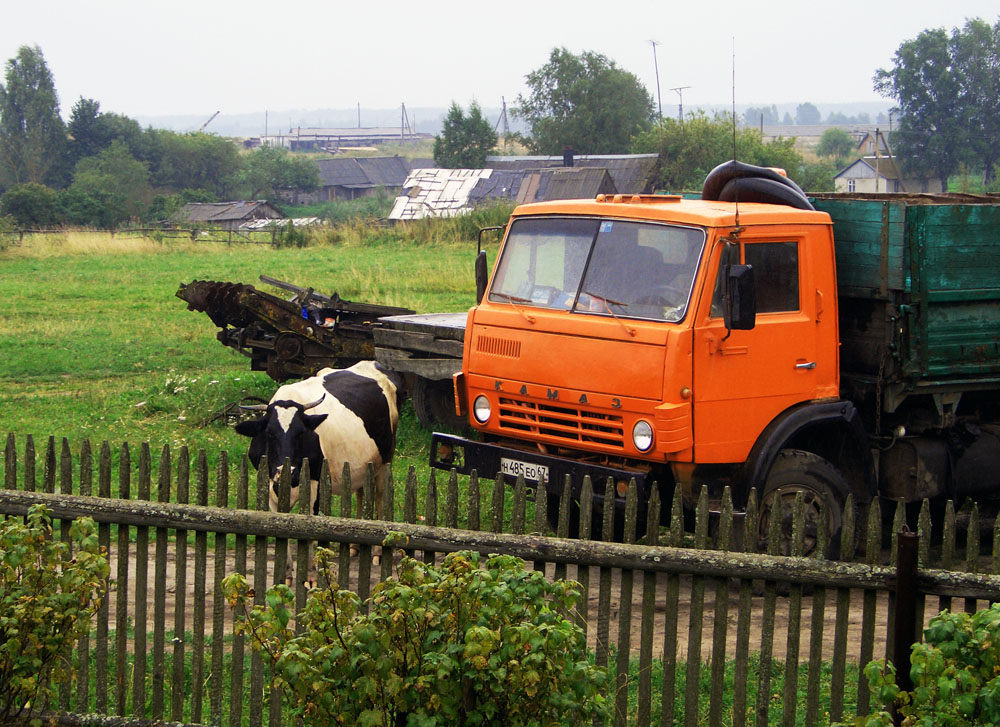 Дождь,корова и камаз