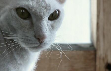 в моих глазах..