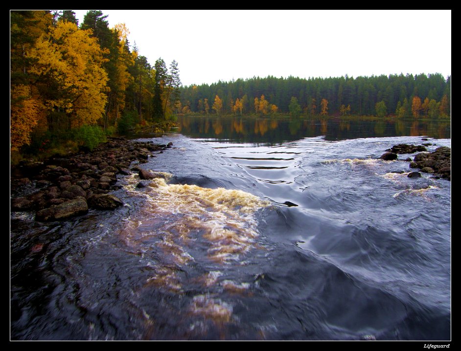 Мелодия реки