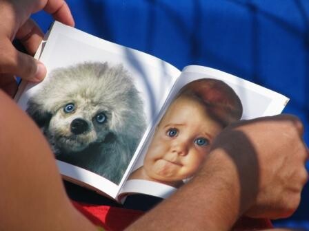 Подглядела