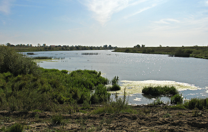 Блеск