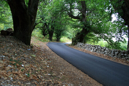 дорога в Албанию