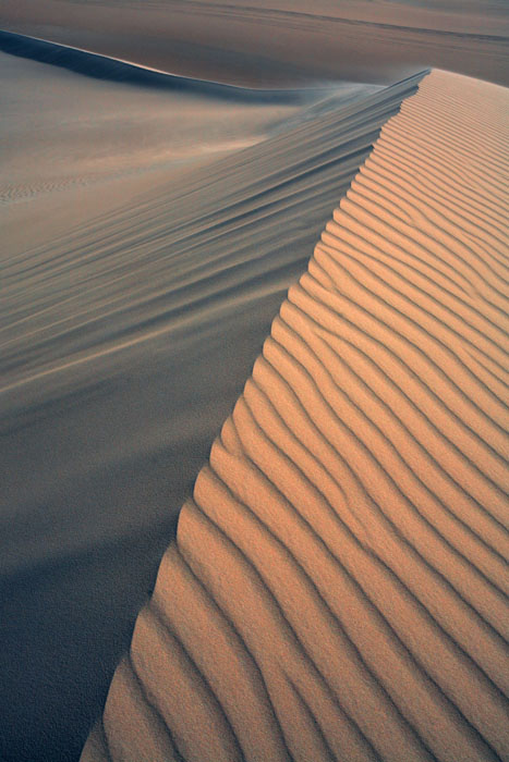 Siwa oasis 