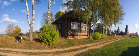 Длинная осенняя солнечная панорама с теленком в селе Сулега