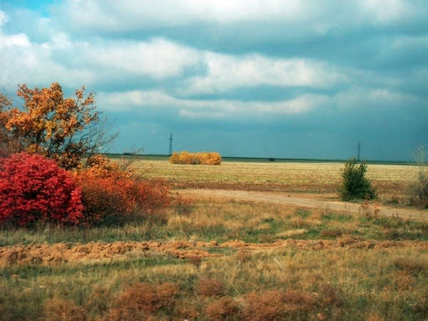 палитра октября