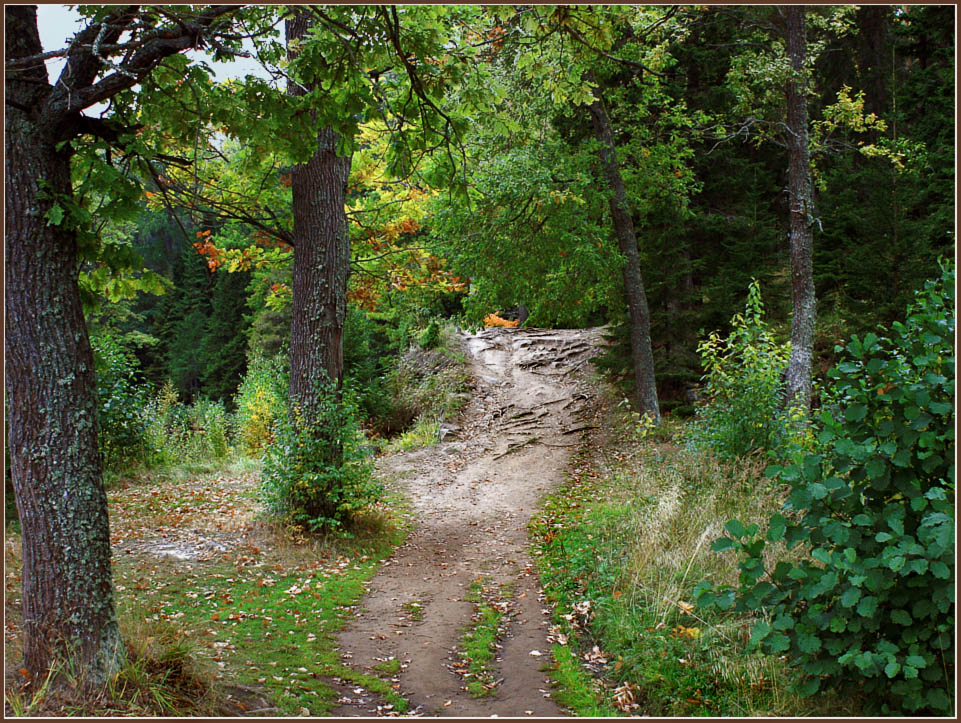 Остров на камнях