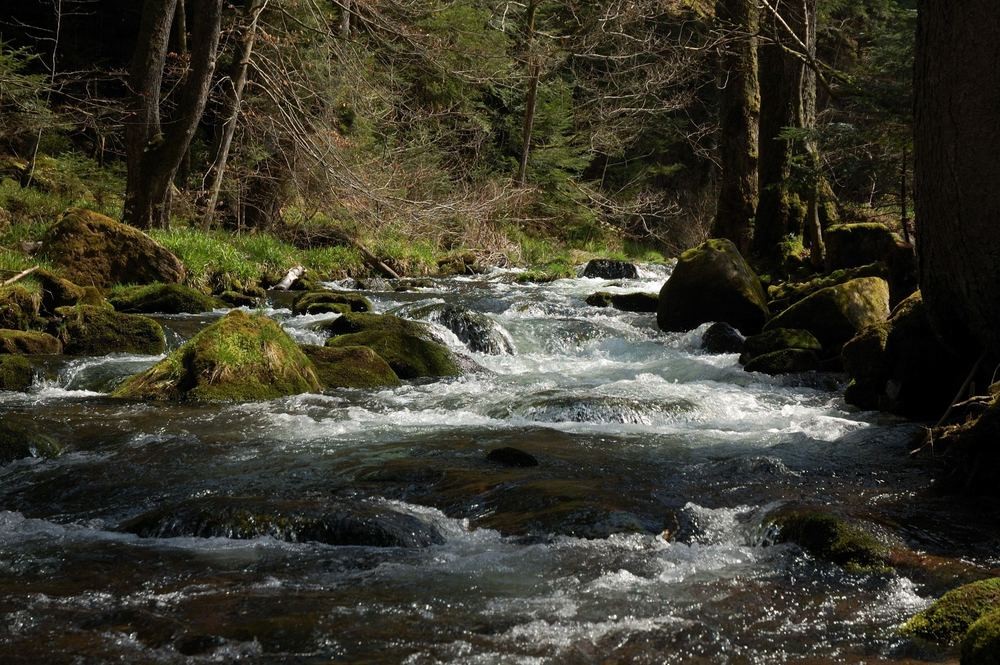 Осень и чистая вода