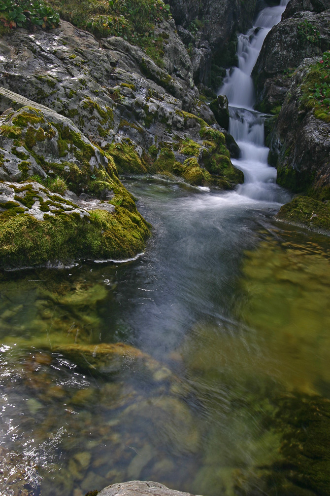 Водопад в лесу