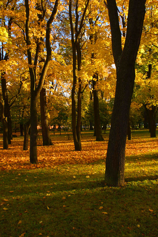 осенний парк