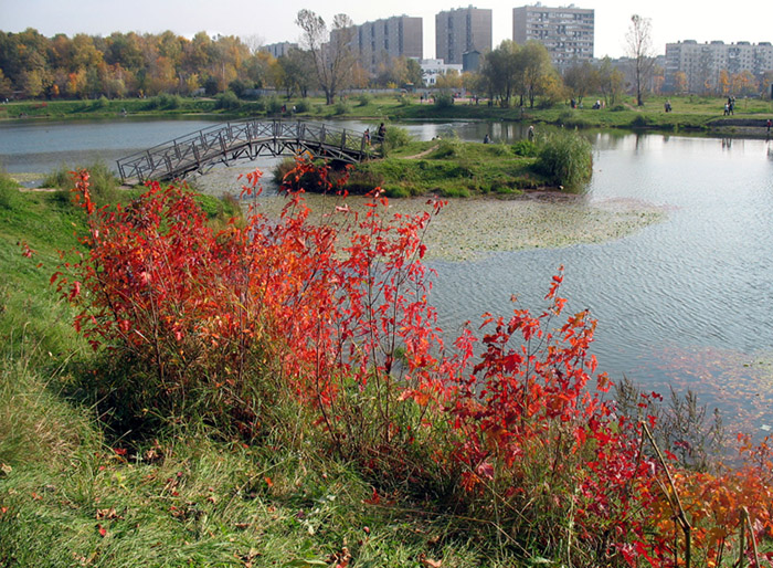 осень в городе