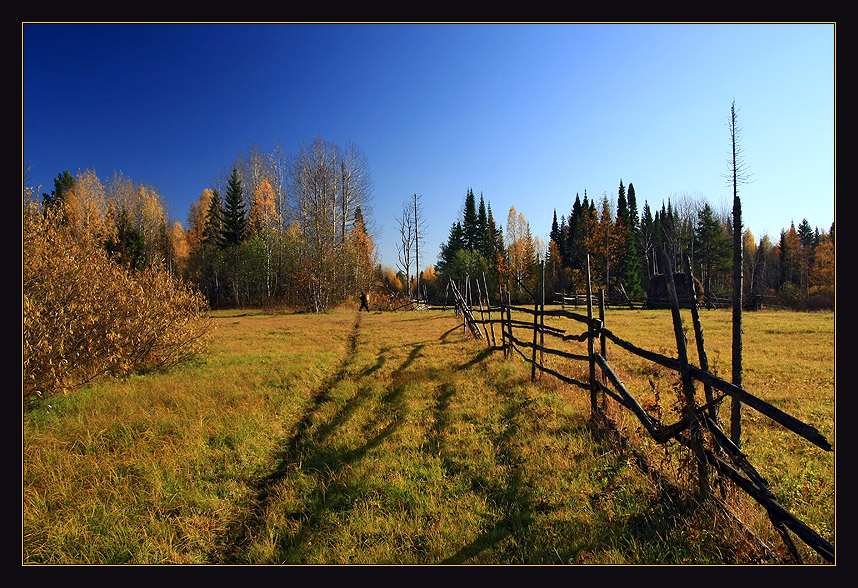 Краски осени