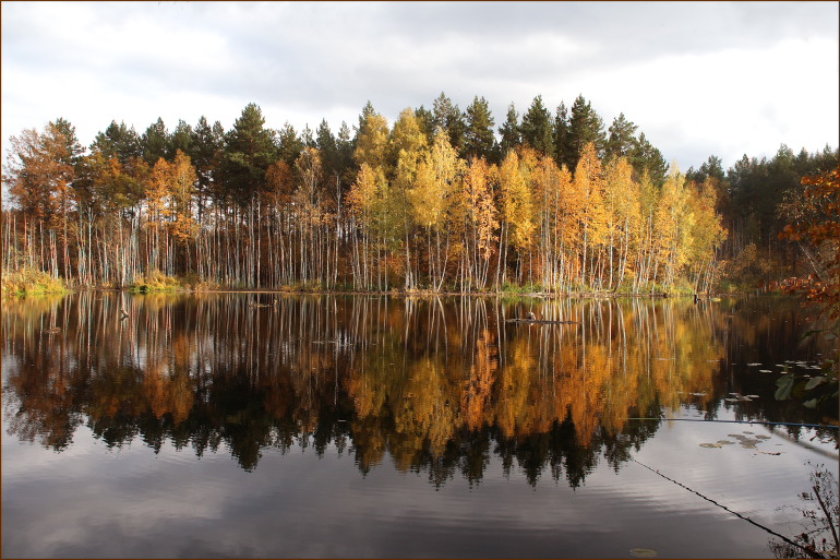 Осенние отражения 