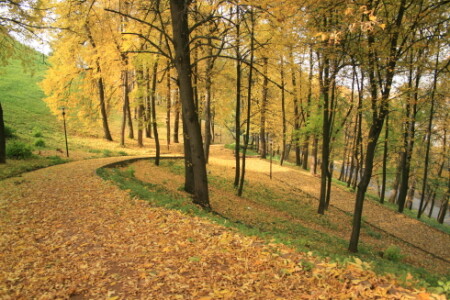 осень