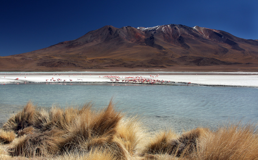 Laguna Colorada