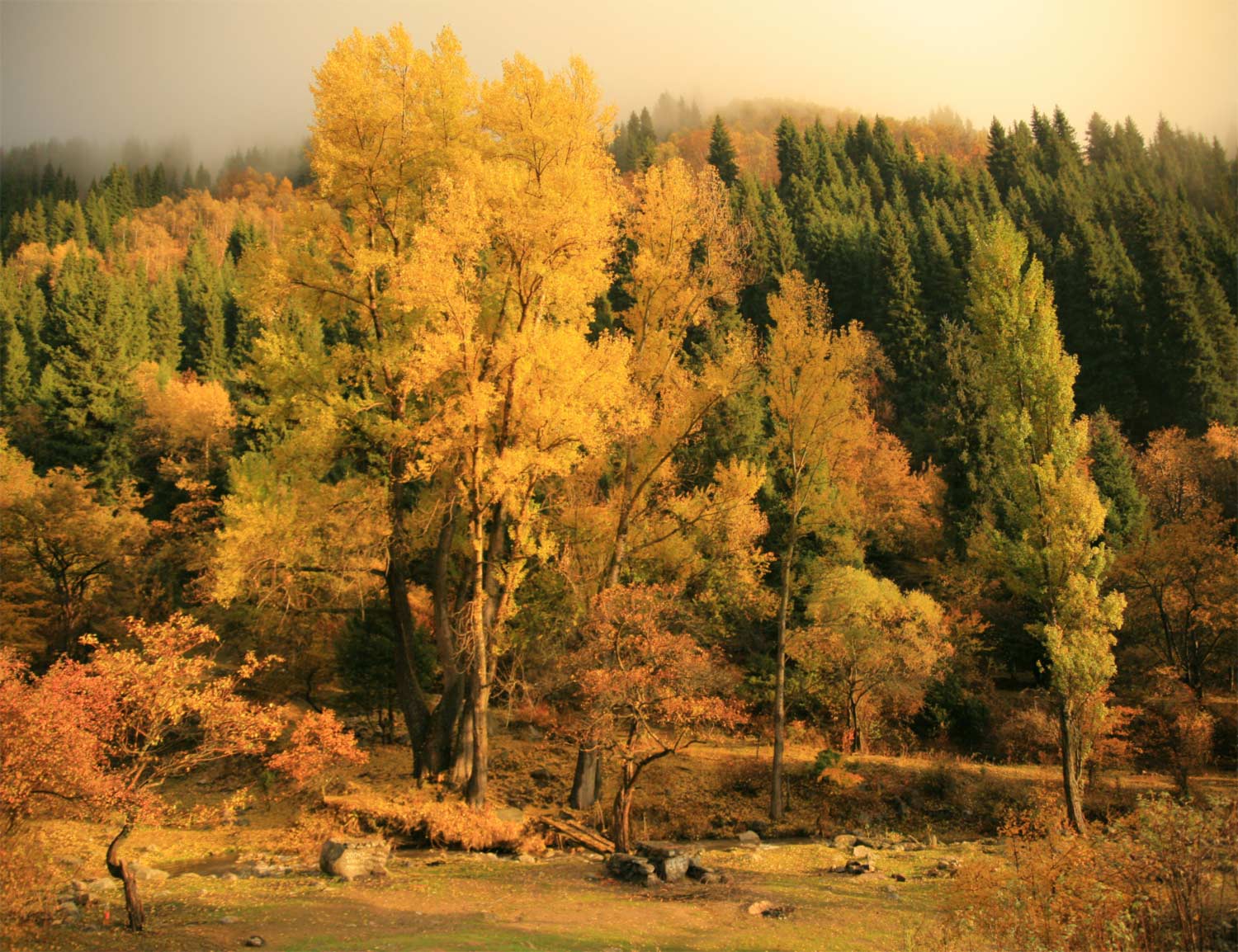 Осели в горах