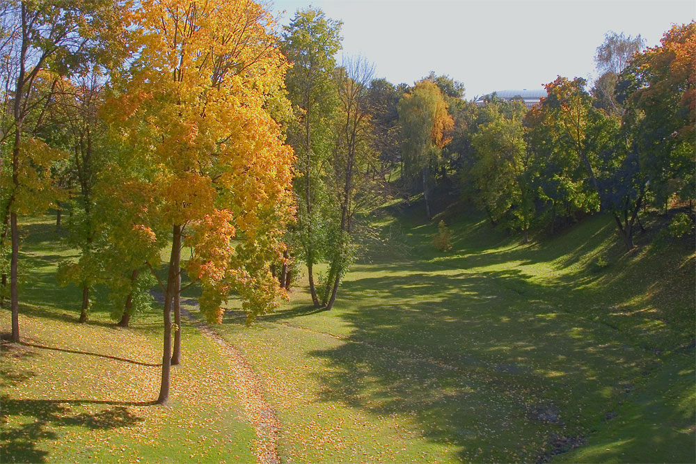 Солнечная тропинка .Царицыно.