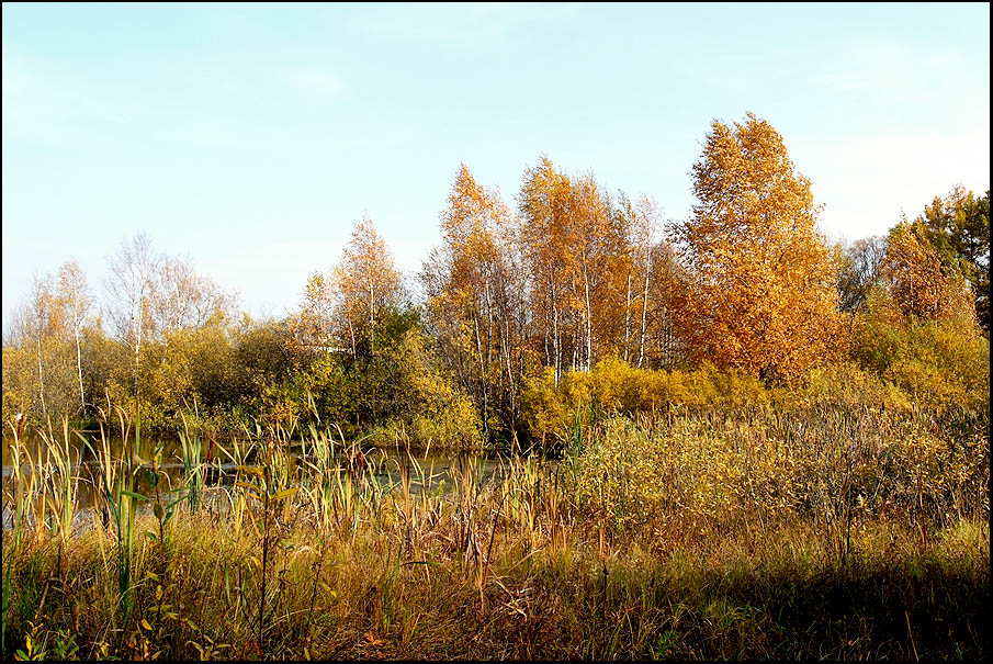 Осенний пейзаж