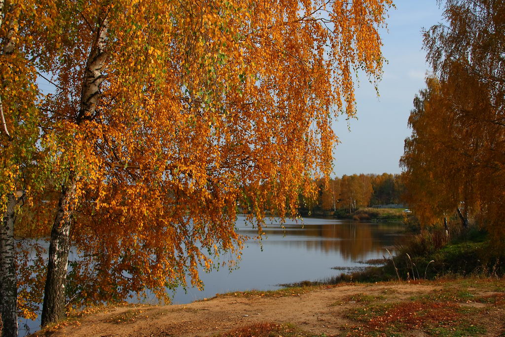 золотая осень на пруду