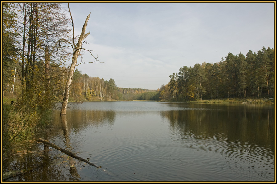 Золотая осень