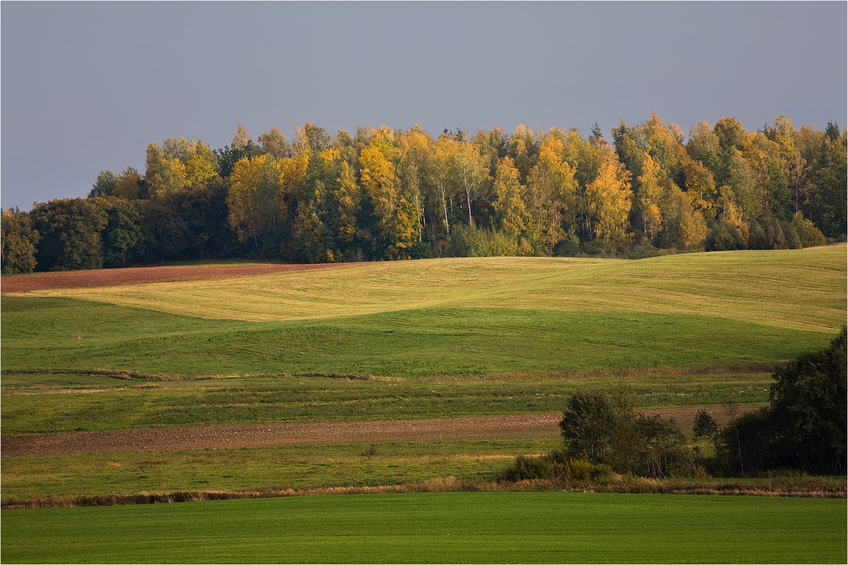 Цвета осени