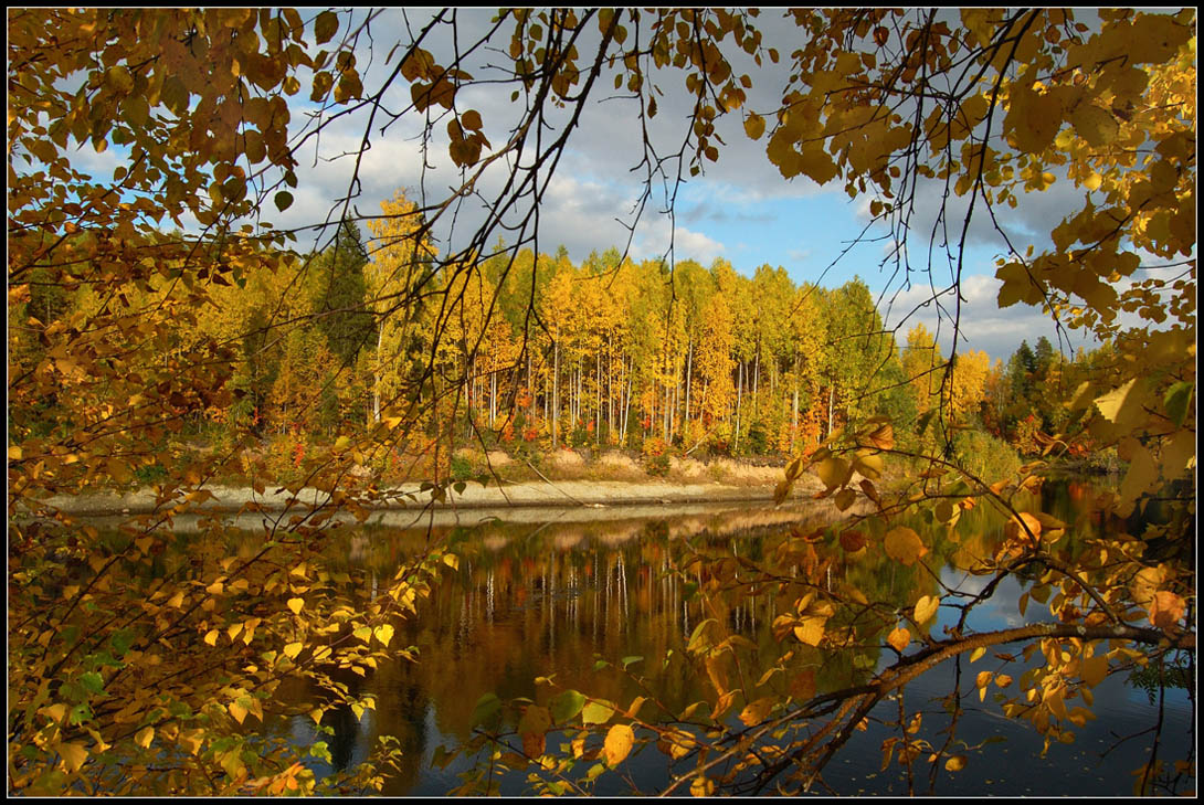 Осенний взгляд