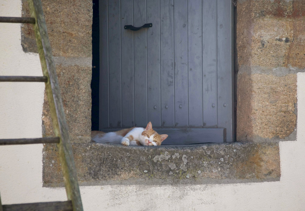 watching the world pass by