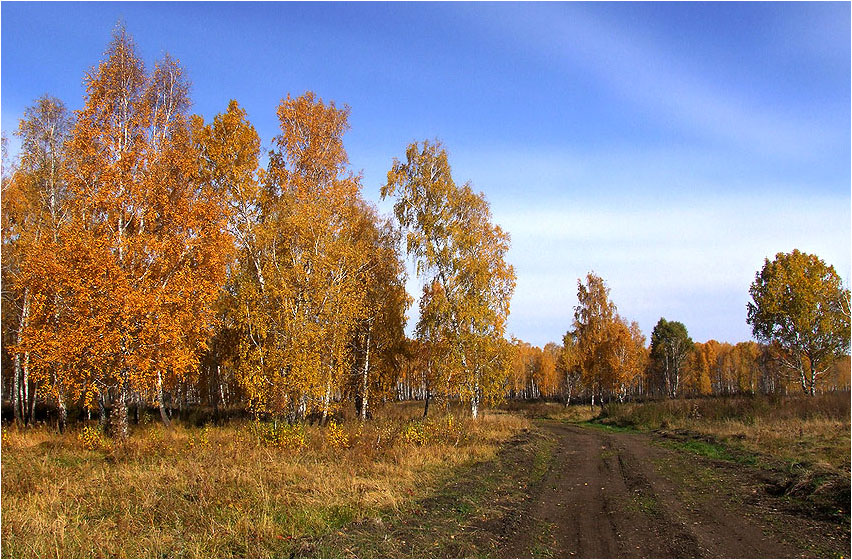 Пройтись по осени....(2)