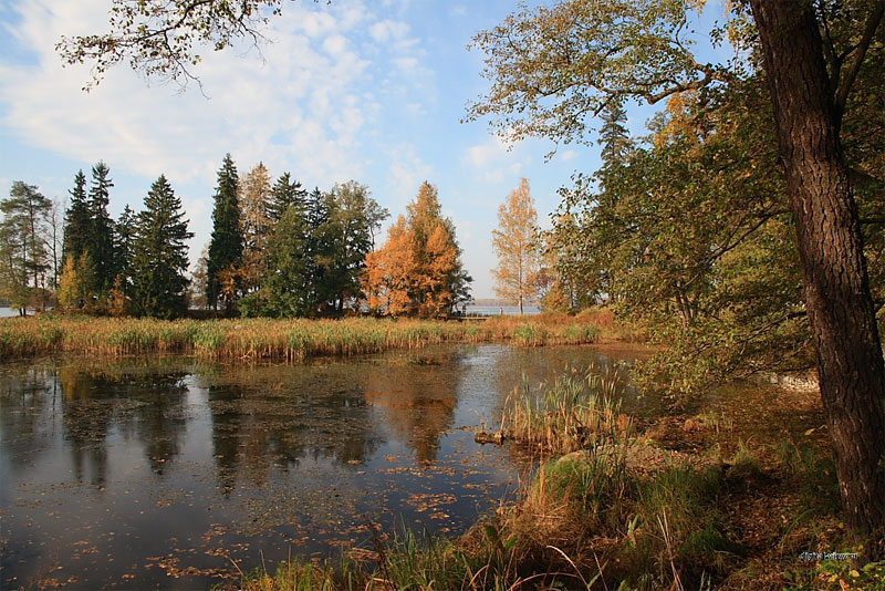 Осень в красках