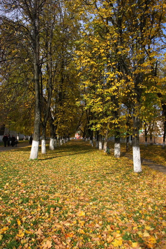 осень в перспективе