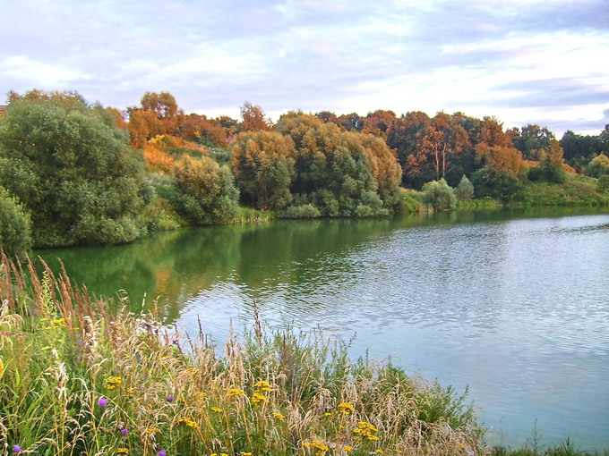 В последних лучах заката